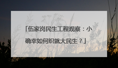 伍家岗民生工程观察：小确幸如何织就大民生？