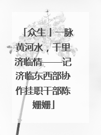 众生丨一脉黄河水，千里济临情——记济临东西部协作挂职干部陈姗姗