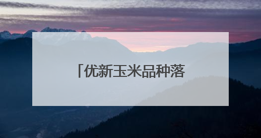 优新玉米品种落地昌平 科学技术指导助力丰收