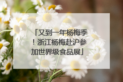 又到一年杨梅季！浙江杨梅赴沪参加世界级食品展