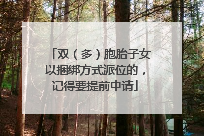 双（多）胞胎子女以捆绑方式派位的，记得要提前申请