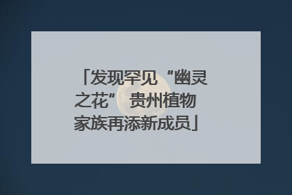 发现罕见“幽灵之花” 贵州植物家族再添新成员