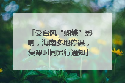 受台风“蝴蝶”影响，海南多地停课，复课时间另行通知
