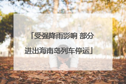 受强降雨影响 部分进出海南岛列车停运