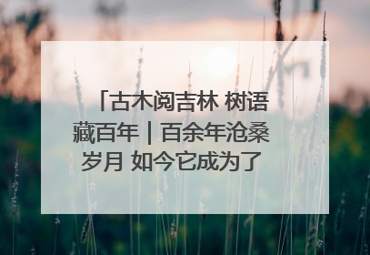 古木阅吉林 树语藏百年｜百余年沧桑岁月 如今它成为了“镇园之宝”