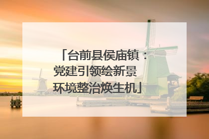 台前县侯庙镇：党建引领绘新景 环境整治焕生机