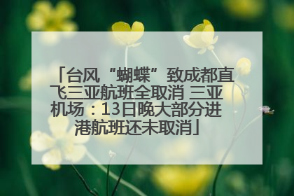 台风“蝴蝶”致成都直飞三亚航班全取消 三亚机场：13日晚大部分进港航班还未取消