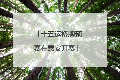十五运桥牌预赛在泰安开赛