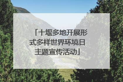 十堰多地开展形式多样世界环境日主题宣传活动