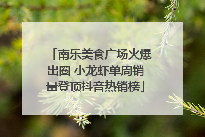 南乐美食广场火爆出圈 小龙虾单周销量登顶抖音热销榜
