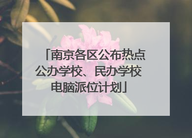 南京各区公布热点公办学校、民办学校电脑派位计划