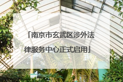 南京市玄武区涉外法律服务中心正式启用