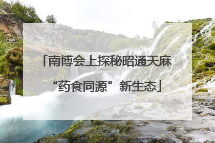 南博会上探秘昭通天麻“药食同源”新生态