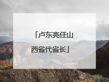 卢东亮任山西省代省长