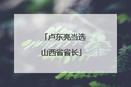 卢东亮当选山西省省长