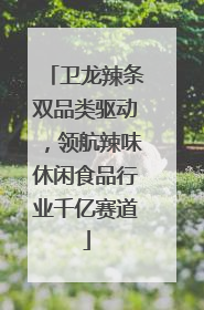 卫龙辣条双品类驱动，领航辣味休闲食品行业千亿赛道