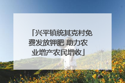 兴平镇统其克村免费发放钾肥 助力农业增产农民增收