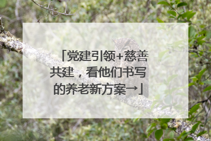 党建引领+慈善共建，看他们书写的养老新方案→