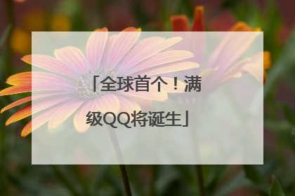 全球首个！满级QQ将诞生