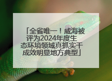 全省唯一！威海被评为2024年度生态环境领域真抓实干成效明显地方典型