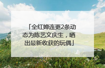 全红婵连更2条动态为陈艺文庆生，晒出最新收获的玩偶