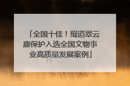 全国十佳！蜀道翠云廊保护入选全国文物事业高质量发展案例