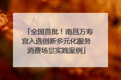 全国首批！南昌万寿宫入选创新多元化服务消费场景实践案例
