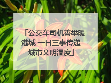 公交车司机善举暖港城 一日三事传递城市文明温度