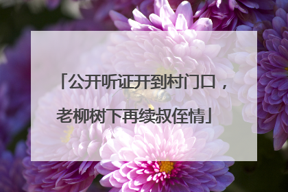 公开听证开到村门口，老柳树下再续叔侄情
