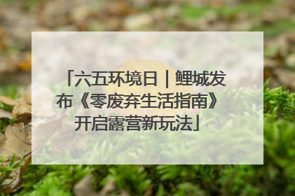 六五环境日｜鲤城发布《零废弃生活指南》开启露营新玩法