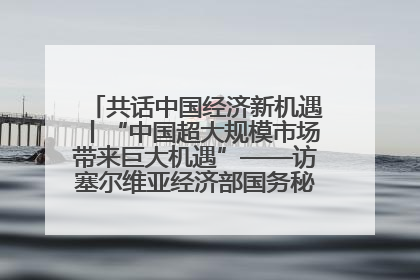共话中国经济新机遇丨“中国超大规模市场带来巨大机遇”——访塞尔维亚经济部国务秘书尼科利奇