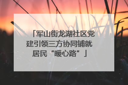 军山街龙湖社区党建引领三方协同铺就居民“暖心路”