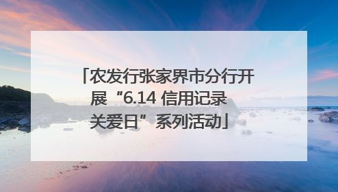 农发行张家界市分行开展“6.14 信用记录关爱日”系列活动