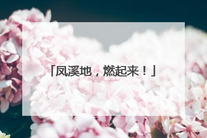 凤溪地，燃起来！