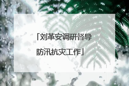 刘革安调研督导防汛抗灾工作