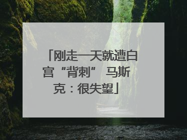 刚走一天就遭白宫“背刺” 马斯克：很失望