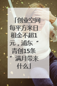 创业空间每平方米日租金不超1元，浦东“青创15条”满月带来什么