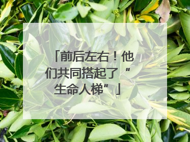 前后左右！他们共同搭起了“生命人梯”