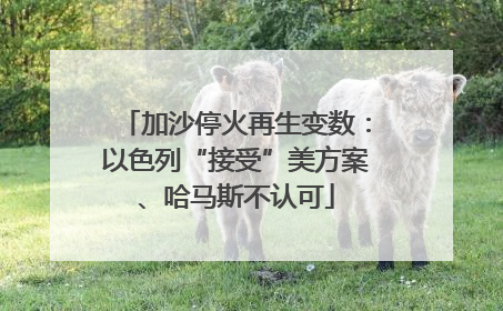 加沙停火再生变数：以色列“接受”美方案、哈马斯不认可