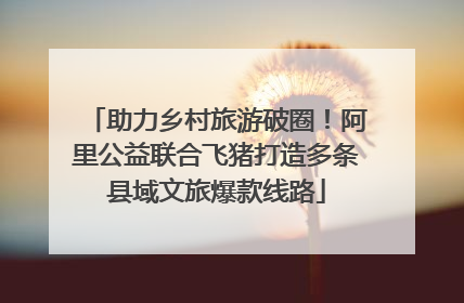 助力乡村旅游破圈！阿里公益联合飞猪打造多条县域文旅爆款线路