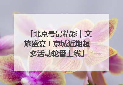 北京号最精彩｜文旅盛宴！京城近期超多活动轮番上线