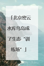 北京密云水库鸟岛成了生态“训练场”