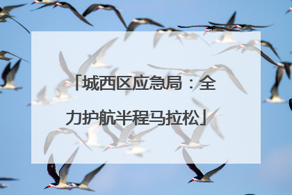 城西区应急局：全力护航半程马拉松