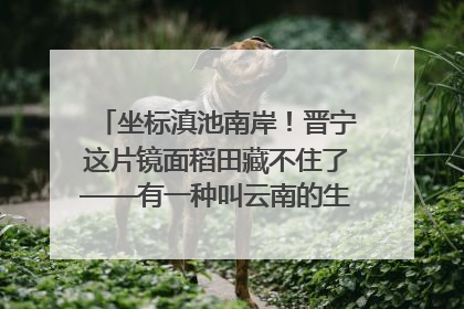 坐标滇池南岸！晋宁这片镜面稻田藏不住了——有一种叫云南的生活之365天