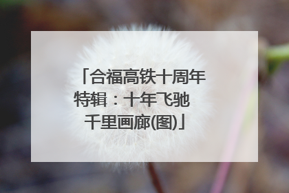 合福高铁十周年特辑：十年飞驰 千里画廊(图)