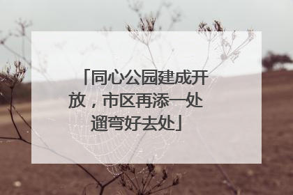 同心公园建成开放，市区再添一处遛弯好去处