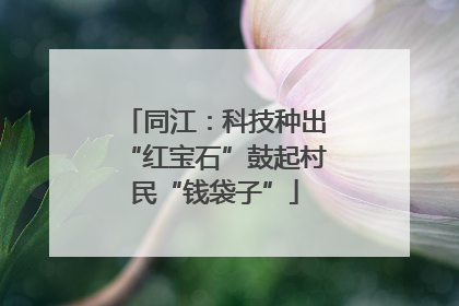 同江：科技种出“红宝石”鼓起村民“钱袋子”