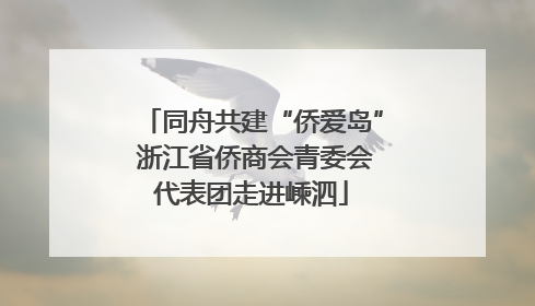 同舟共建“侨爱岛” 浙江省侨商会青委会代表团走进嵊泗