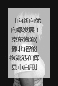向新向优向绿发展！京东物流(豫北)智能物流港在辉县市启用