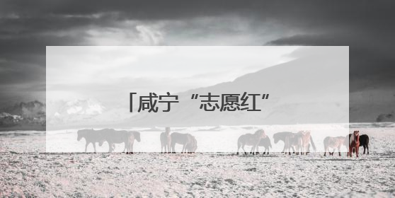 咸宁“志愿红”织密高考服务网